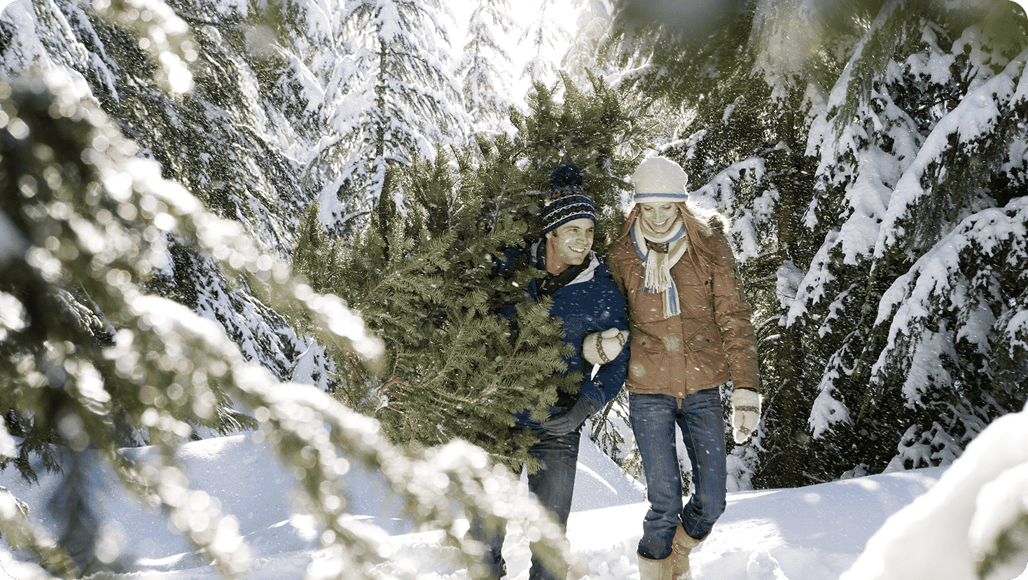 People walking through a snowy forest with a freshly cut evergreen tree surrounded by snow-covered trees.